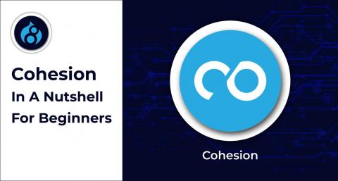 Cohesion-In-A-Nutshell-For-Beginners