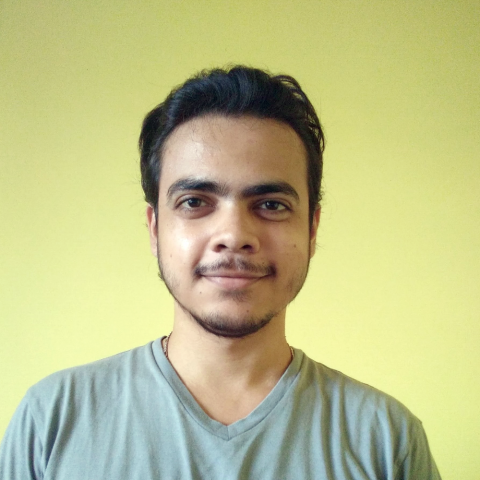 Profile picture for user Rohit Ganguly